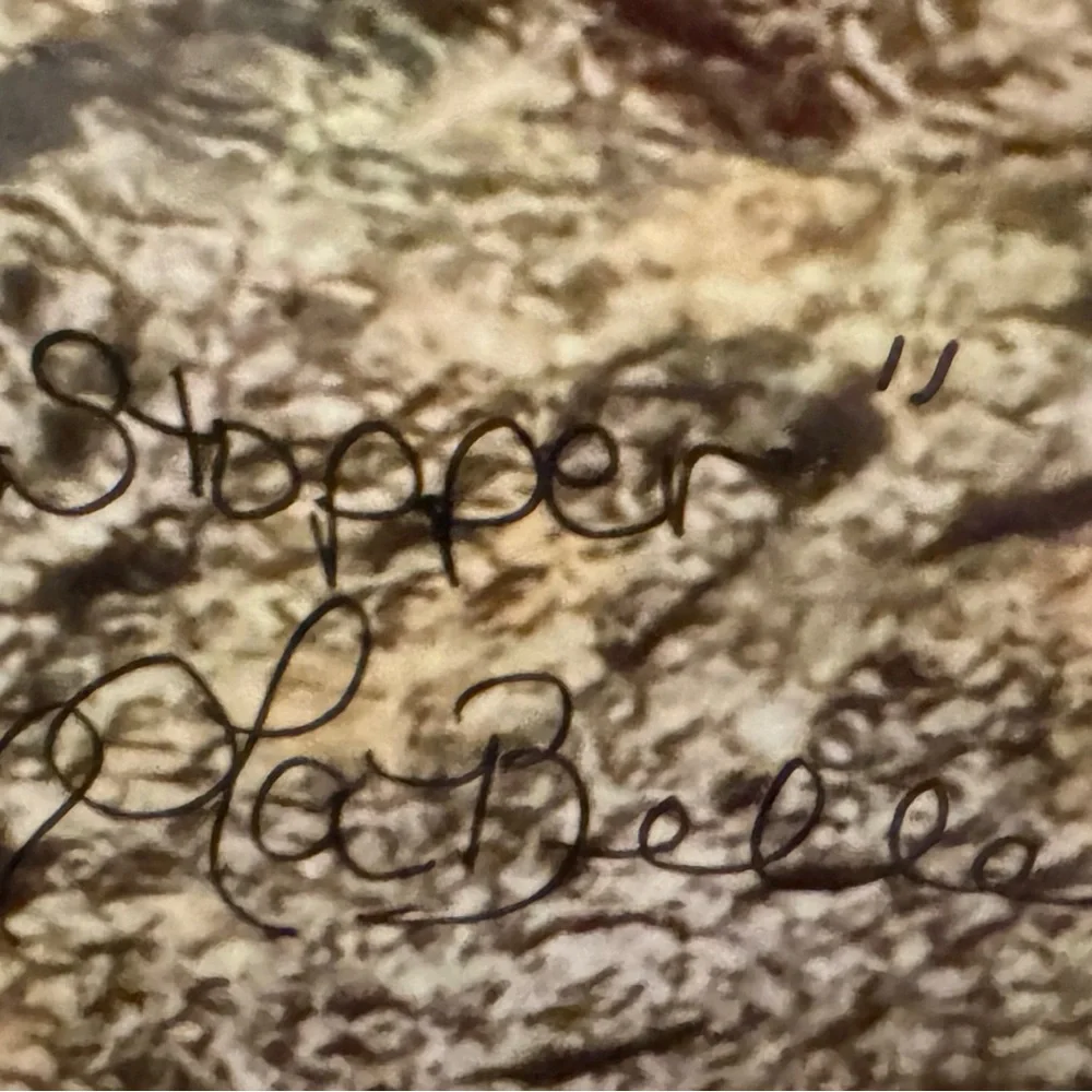 Reptile Wall Art Photo - “Show Stopper” taken by Dyan La Belle.